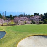 桜の季節Ⅰ